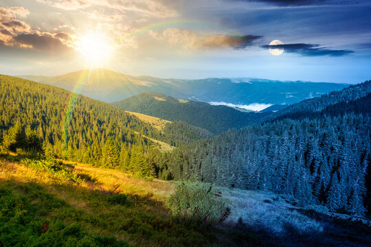 landscape with coniferous forest behind the meadow. day meet night. sun and moon over nature background with carpathian mountains of ukraine. astrologycal view of transcarpathia alpine woodland