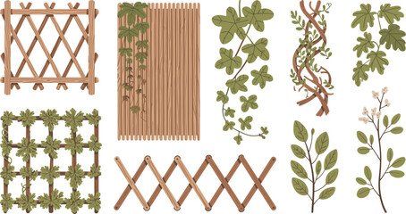 Wooden Trellis and Climbing Plant Icon Set Featuring Expanding Fences Ivy Vines Creeper Foliage and Garden Support Structures Vector Designs © Rimu