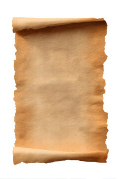 Vertical vintage parchment scroll isolated on white background. Antique blank paper template.