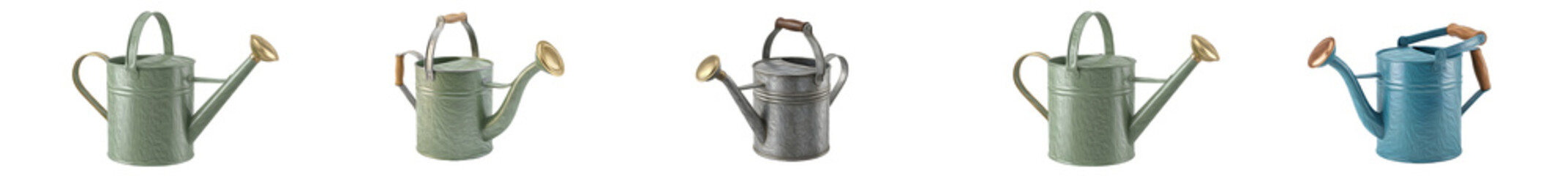 Classic Metal Watering Can Set, Vintage Garden Watering Pots with Long Spout and Rose Sprinkler Head for Indoor Plants Flowers Yard Gardening, White Background © Mr