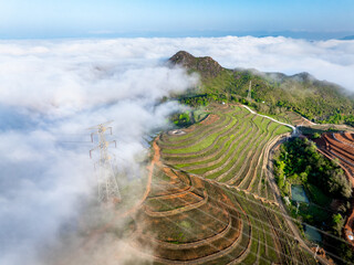 Fototapeta premium Aerial view of terraced tea plantations and power transmission towers surrounded by sea of clouds