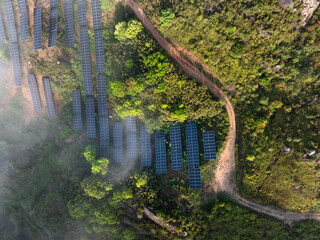 Fototapeta premium Aerial view of solar photovoltaic power station in green forest landscape