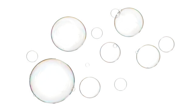 Soap Bubbles Floating in Air