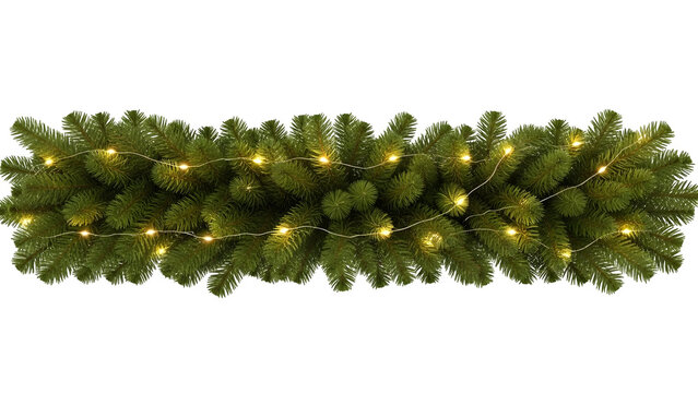 Pine tree branch with dense green needles reflecting in calm water during daylight