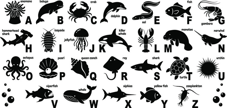 Alphabet chart of marine life silhouettes A&ndash;Z, including anemone, beluga, crab, dolphin, eel, shark, turtle, whale, and more.