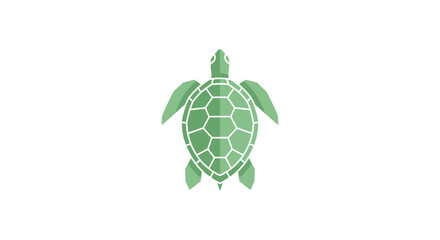 Green turtle shell with flippers. © Ahmad
