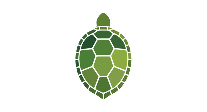 Green Turtle Shell Illustration Design.