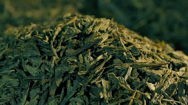Green Tea Pile At Market Macro Shot