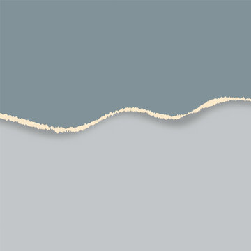 torn paper background 3103