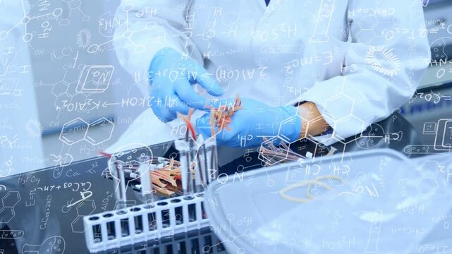 Center lab worker lifting specimen cluster and inserting red fragments into rack for analysis