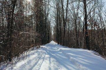 Obraz premium Trail in Winter 2