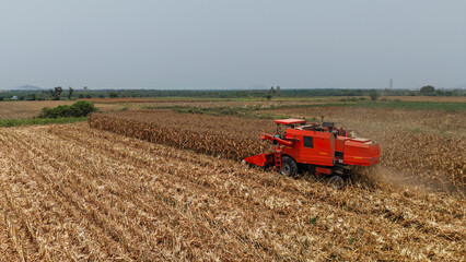 Obraz premium Combine harvester cutting crops across dry farmland showing harvest season and mechanized agriculture in rural environment
