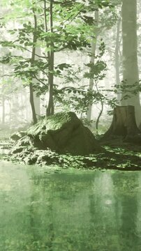 A forest scene shows water reflecting trees and rocks. The sunlight filters through the mist, creating a soft atmosphere. The area is quiet and filled with greenery.
