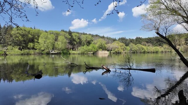 Scenic View of Karagol Nature Park Lake with Picnic Tables and Lush Trees in Izmir, Turkey. High quality 4k footage