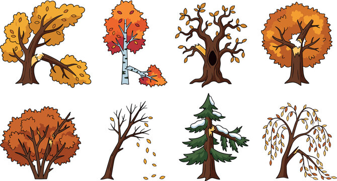 Autumn tree vector set collection featuring broken trunks hollowed branches falling leaves and winter pine trees after storm damage isolated on white background