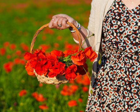 cesto con papaveri tenuto in mano da una donna