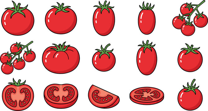 Red tomato vector set collection featuring whole cherry tomatoes plum tomatoes sliced pieces and clusters on vine isolated on white background for food design