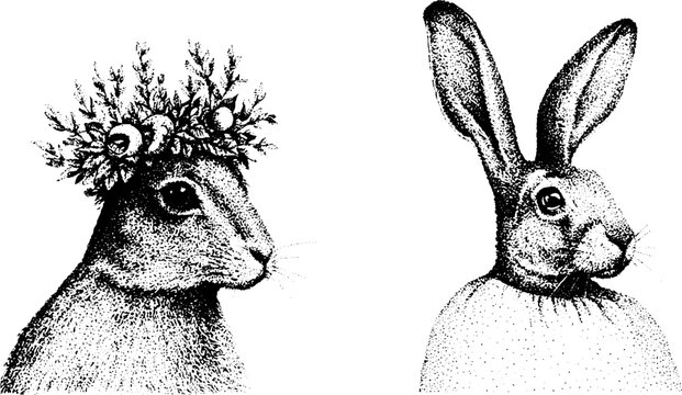 Two hare portraits, one wearing floral crown, side by side