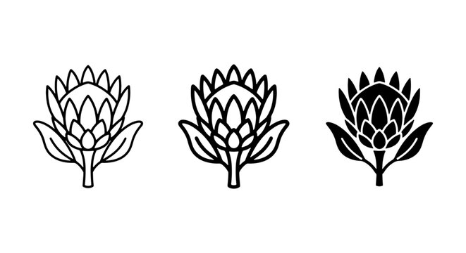 Protea Flower Icons, Vector Set: Minimalist Botanical Line Art, Silhouette, Outline Styles