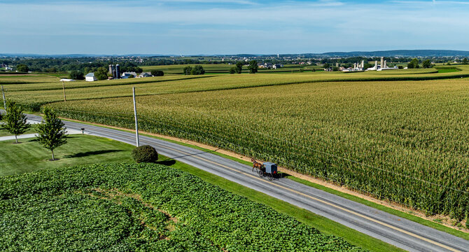 A horse and buggy travel down a rural road surrounded by large cornfields. The sun shines bright in the clear blue sky. Farms and distant hills provide a backdrop to the peaceful landscape.