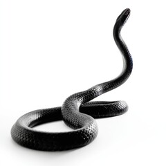 Obraz premium Black Snake on a Plain Surface Showing Curves and Patterns in a Simple Environment