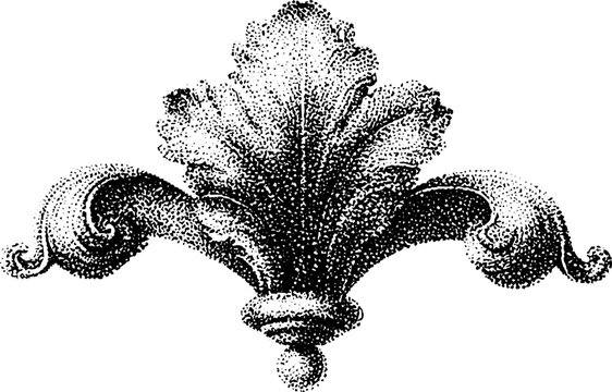 Acanthus leaf ornament with volute arms on decorative base