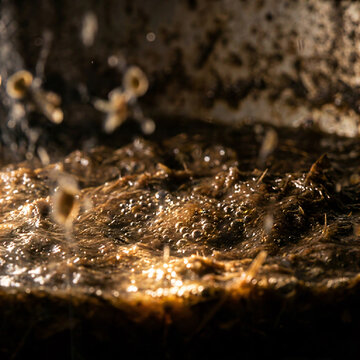 Extreme close-up of bubbling organic slurry inside a biogas digester