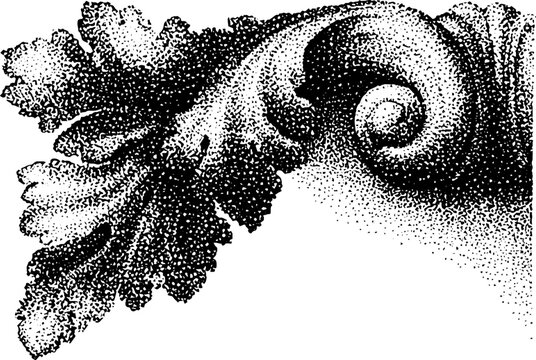 Acanthus leaf ornament rendered in stippled engraving corner