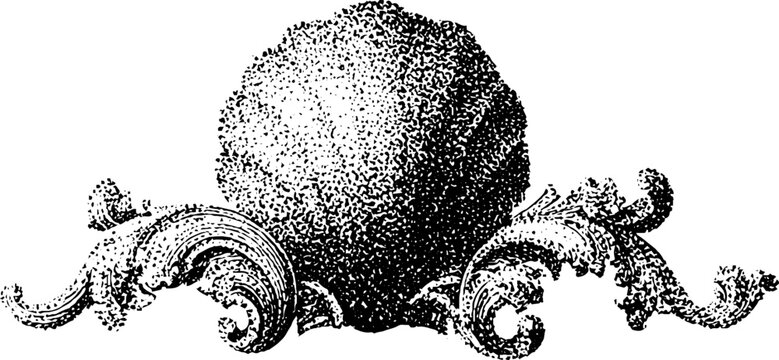 Architectural ornament shell resting on carved scrolls indoors