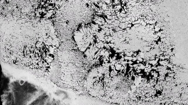 Abstract monochromatic animation of a grunge textured white ink on black paper. Seamless loop. Slideshow. Low frame rate effect.