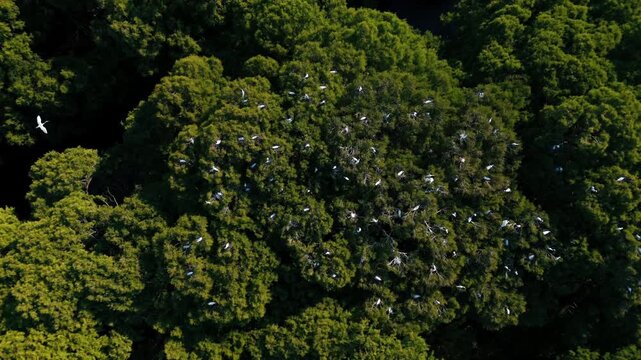  Lago de Cam&eacute;cuaro en Michoac&aacute;n desde vista de drone