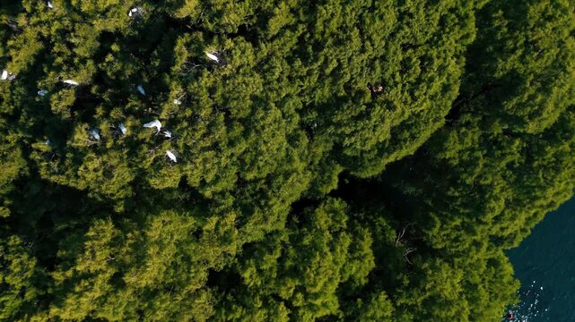  Lago de Cam&eacute;cuaro en Michoac&aacute;n desde vista de drone