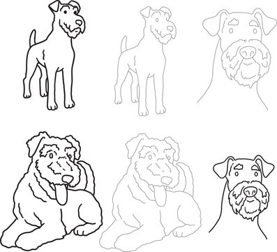 Airedale Terrier line art illustration wiry coat dog doodle elegant hunting breed contour drawing minimalist black outline clipart for grooming salon veterinary pet branding coloring pages mascot logo
