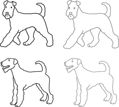 Airedale Terrier line art illustration wiry coat dog doodle elegant hunting breed contour drawing minimalist black outline clipart for grooming salon veterinary pet branding coloring pages mascot logo