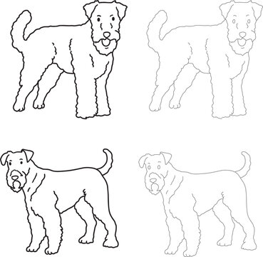 Airedale Terrier line art illustration wiry coat dog doodle elegant hunting breed contour drawing minimalist black outline clipart for grooming salon veterinary pet branding coloring pages mascot logo
