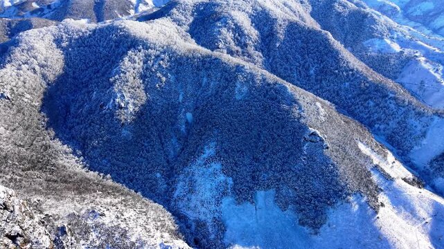 High-angle, bird's eye view aerial shot from a drone flying at 300 meters over a beautiful winter forest covered in snow and ice. Bright sunny day with crisp light illuminating the frozen trees. Smoot