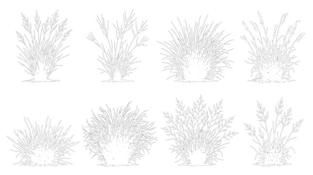 Ornamental Grass Clump Set CAD Line Art Elevation View Vector Illustration Landscape Architecture Plan Outline Drawing White Fill Editable Stroke