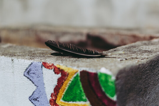 Pluma