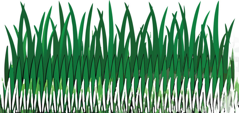 Realistic Green Grass Border Vector Set Isolated on Transparent Background