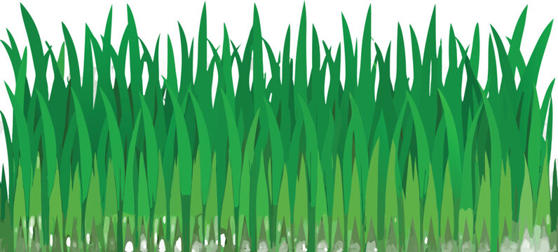 Realistic Green Grass Border Vector Set Isolated on Transparent Background