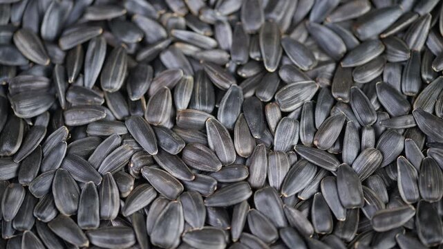 Sunflower seed details. Dark seed shells packed in detailed natural setting. An intricate view of sunflower seed shells emphasizing tactile texture and rustic environment