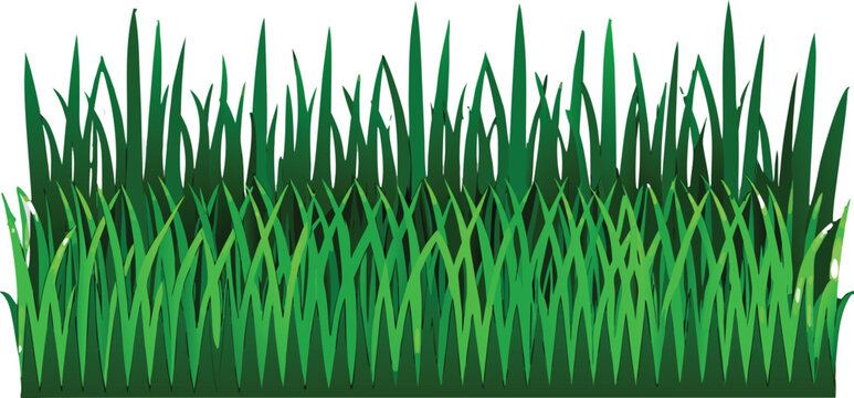 Realistic Green Grass Border Vector Set Isolated on Transparent Background