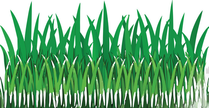 Realistic Green Grass Border Vector Set Isolated on Transparent Background