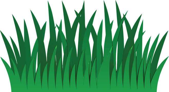 Realistic Green Grass Border Vector Set Isolated on Transparent Background