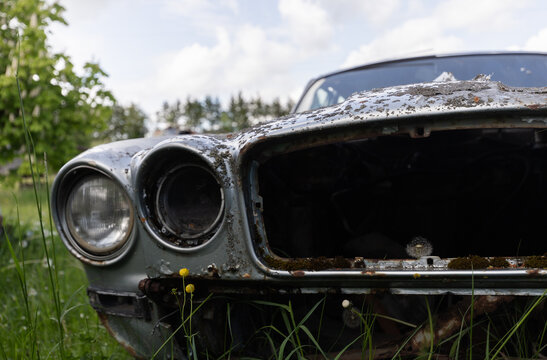 Jaguar XJ6