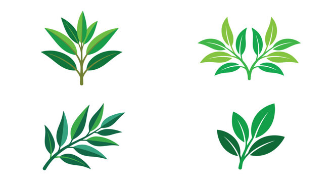 green leaf arrangements vector illustration on white background