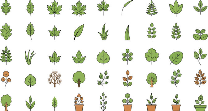 Minimalist botanical vector illustration set featuring diverse leaves, trees, and potted plants isolated on white background for modern design