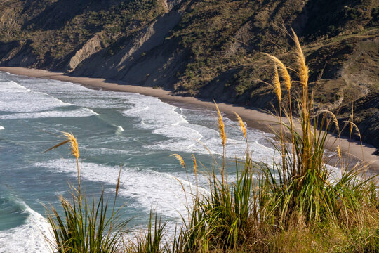 Bare Coastline Castlepoint New Zealand