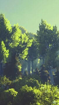 Sunlight filters through the leaves of trees in a dense forest. The area is filled with green plants and tall grass. The time appears to be daytime in a natural setting.