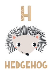 Cute hedgehog face, letter H, text, illustration isolated. ABC card, cartoon animal character. Kids English alphabet, preschool, school learning. Hand drawn flat vector clip art, design element © Maria Skrigan